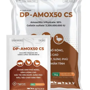 DP-AMOX50 CS