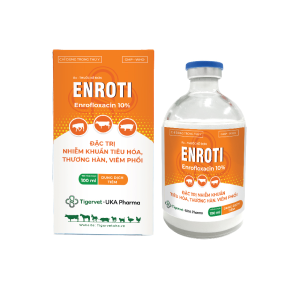 ENROTI