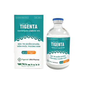 TIGENTA
