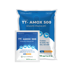 TT- AMOX500