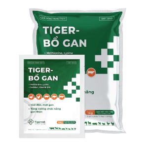 TIGER - BỔ GAN