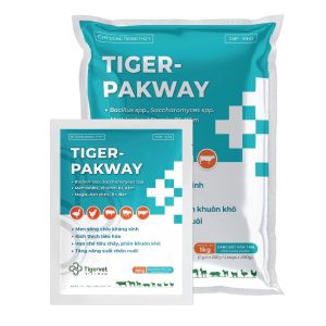 TIGER - PAKWAY