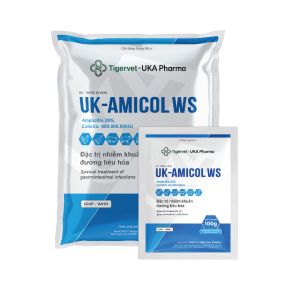 UK-AMICOL WS