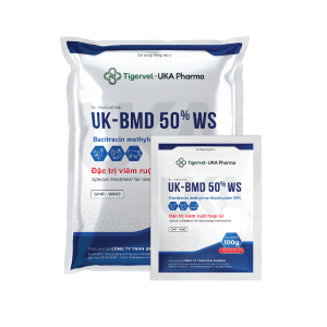 UK-BMD 50% WS