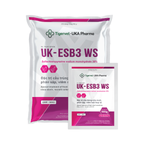 UK-ESB3 WS