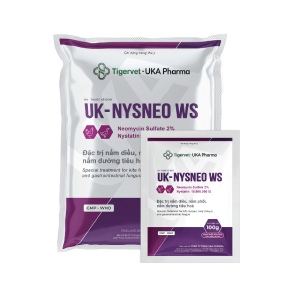 UK-NYSNEO WS